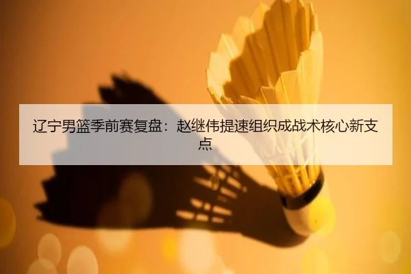 辽宁男篮季前赛复盘：赵继伟提速组织成战术核心新支点 | MKSports